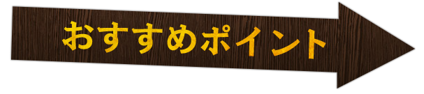 おすすめポイント