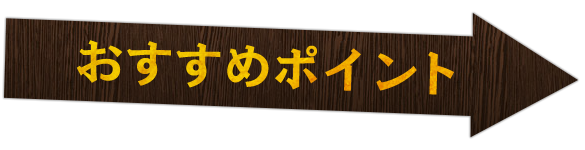 おすすめポイント