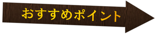 おすすめポイント