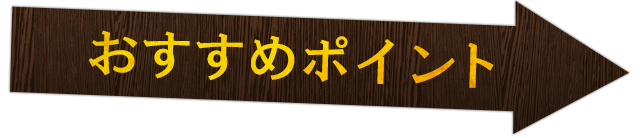 おすすめポイント